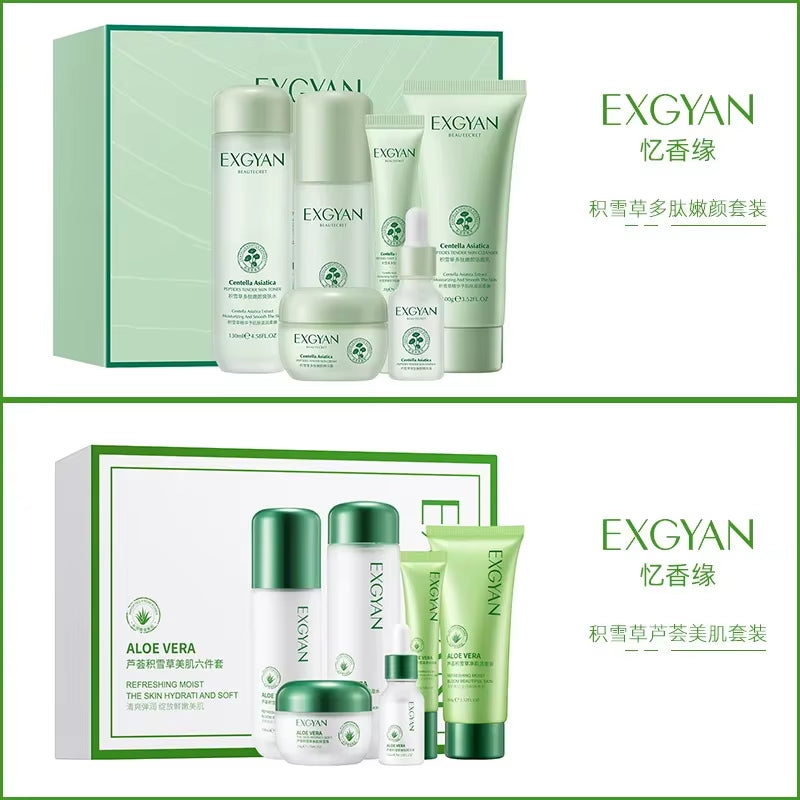 Centella Asiatica Polypeptide Skin Care Set Aloe Moisturizing Oil-Controlling Face Serum Cream Lotion Set Ascorbic Acid Essence